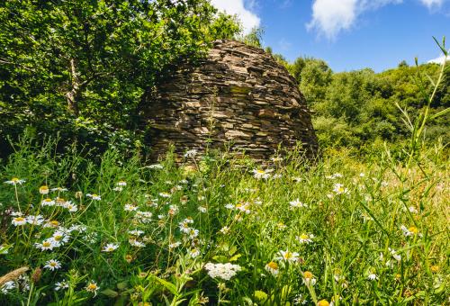 A close view of the stone sculpture surrounded by greenery and wild flowers